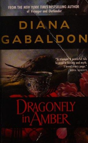 Dragonfly in amber